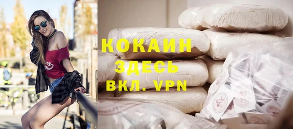 МДПВ Алзамай