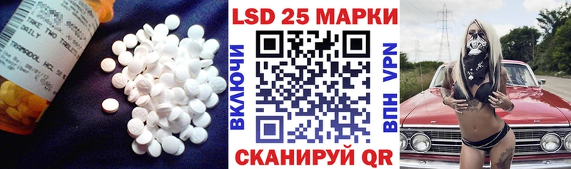 хочу   Николаевск  ЛСД экстази ecstasy 
