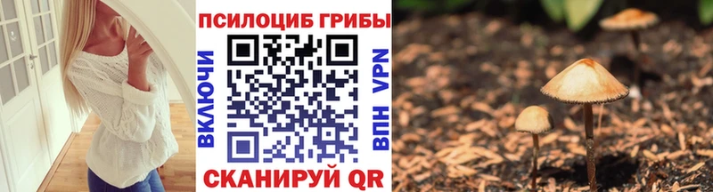 Галлюциногенные грибы Psilocybe  Николаевск 